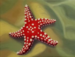 Starfish / oil on canvas / 27 x 35 cm / 2017