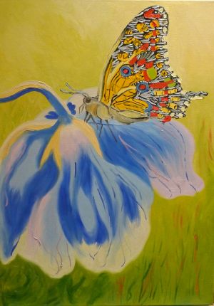 Butterfly on a Flower – version 1 / oil on canvas / 50 x 70 cm / 2016