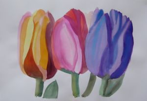 Tulips / watercolour on paper / 42,7 x 60,5 cm / 2017