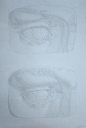 David’s eye / graphite on paper / 45 x 65 cm / 2015