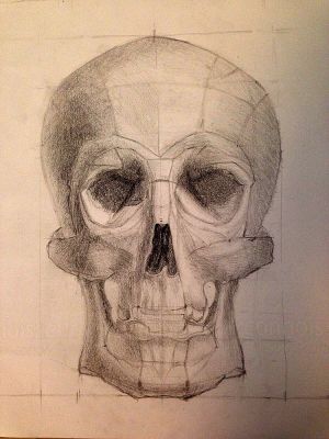 Skull / graphite on paper / 45 x 65 cm / 2015